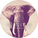 Rebecca Schlegel profile picture